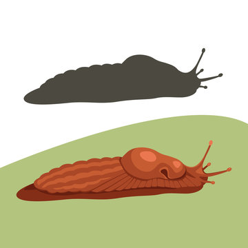  slug snail  cartoon vector illustration flat style front