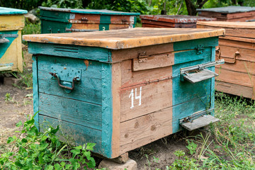 Beehive - the house of bees in the bosom of nature. Work beekeeper. Healing product of beekeeping. May, flower honey.