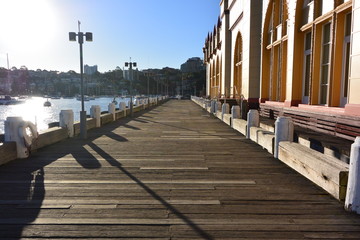 Sunny Jetty