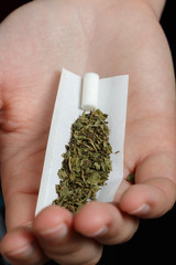 joint of marijuana