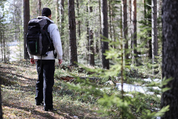 A man is a tourist in a pine forest with a backpack. A hiking tr