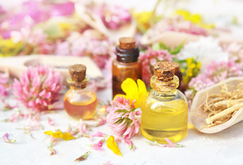 Obraz na płótnie Canvas Essential oils on medicinal flowers and herbs background: chamomile, clover, calendula, yarrow, selective focus, toned