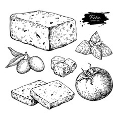 Greek feta cheese block, slice drawing. Vector hand drawn food s