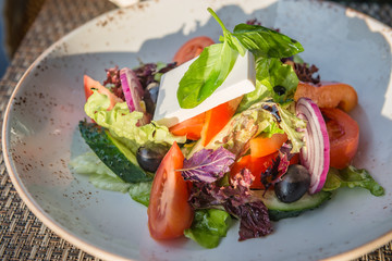 Greek Salad in Plate in Sunrays