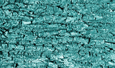 Tree bark texture in cyan tone.