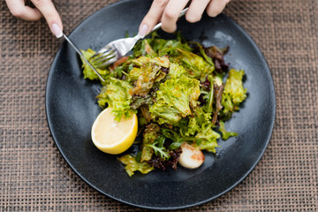 dieting menu for weight loss. Low calorie salad for healthy lifestyle and fitness