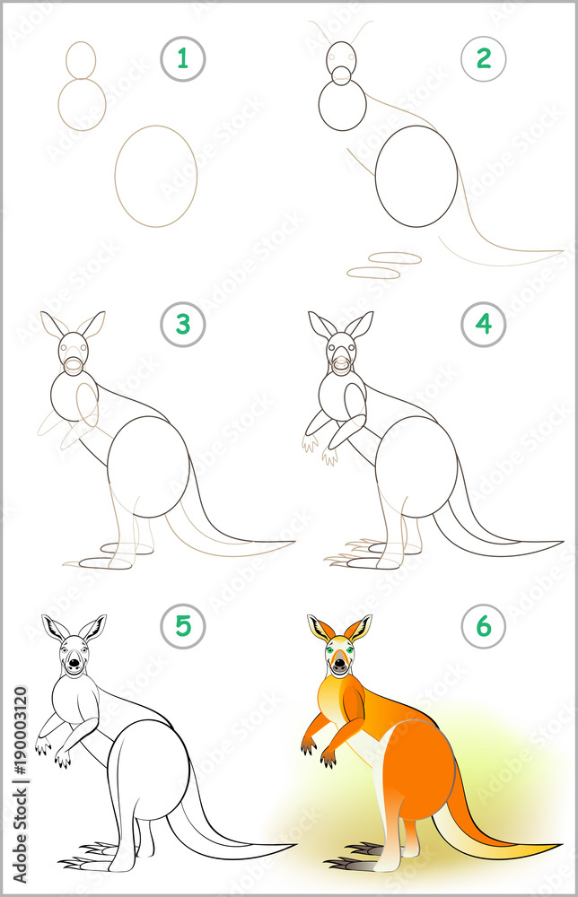 Wall mural page shows how to learn step by step to draw a cute kangaroo. developing children skills for drawing