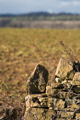 Fry stone wall in UK