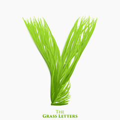 Vector letter Y of juicy grass alphabet. Green Y symbol consisting of growing grass. Realistic alphabet of organic plants. Spring and ecology typeset illustration.