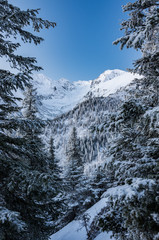 Fototapeta na wymiar Winter morning mountain landscape, Tatra mountains, Poland