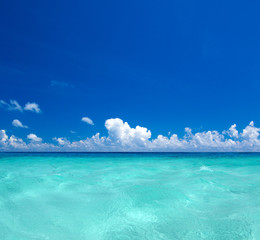 beach and tropical sea
