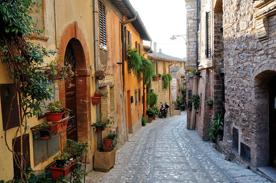 Fototapeta Traditional italian medieval alley in the historic center of beautiful little town of Spello, Perugia , in Umbria region - central Italy