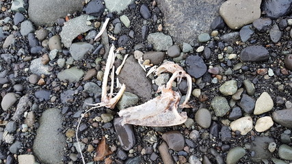 Islande paysage la nature &agrave; l' etat pur