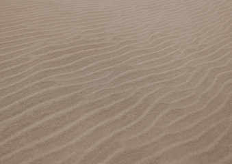 Fototapeta na wymiar Death Valley Dune