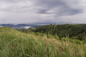 Blick von Kitzeck in das s&uuml;dsteirische Sulmtal, Im Vordergrund Wiese