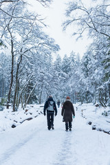 people are walking in the snow-covered forest