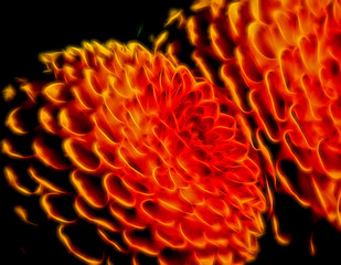 Abstract Glowing Circles Suggesting of Flowers.