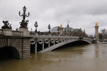 Fototapeta na wymiar Crue de la Seine sous le Pont Alexandre III à Paris