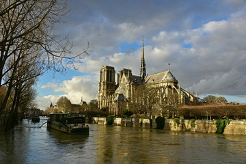 Fototapeta na wymiar Cathédrale Notre-Dame de Paris vue depuis la Seine en crue