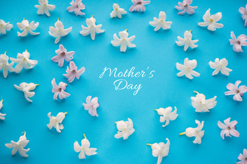 hyacinth flowers on a blue background, greeting card