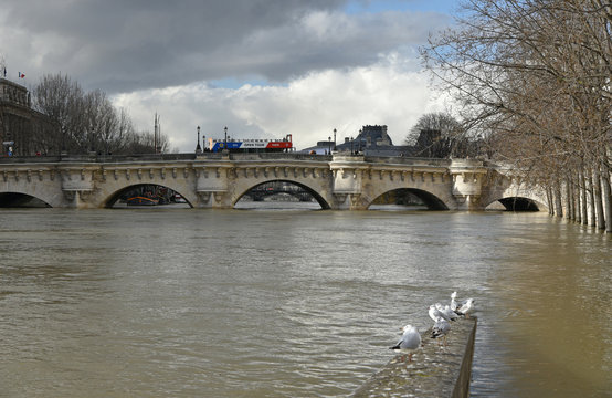 Le Pont-Neuf à Paris, crue de la Seine 2018