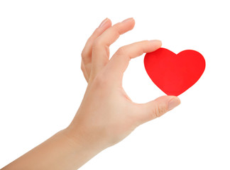 female hand holding small bright red heart on white background