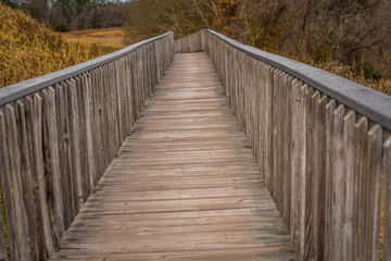 Fototapeta na wymiar Pathway over the Bridge at the Park 