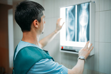 Veterinarian looks at the x-ray, veterinary clinic