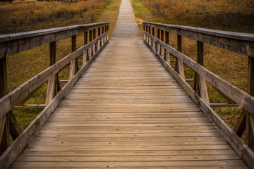 Pathway over the Bridge at the Park 