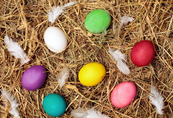 Fototapeta na wymiar Colorful easter eggs.Colored chicken eggs with white feather.On hay background.Easter background. Top view