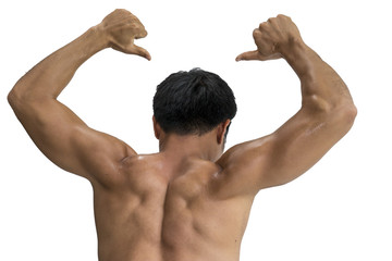 body of man body builder isolated on white background