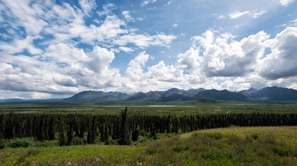 Fototapeta na wymiar Alaska Matanuska Glacier Park