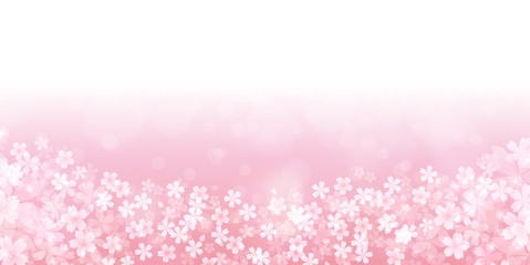 桜　春　花　背景