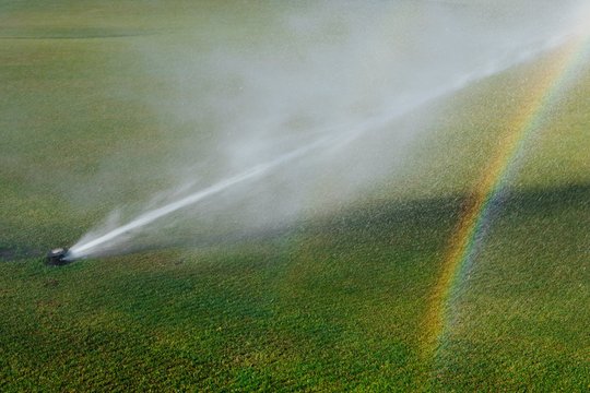 golf lawn sprinkler with rainbow