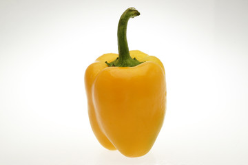 パプリカ　茨城県産　白抜き