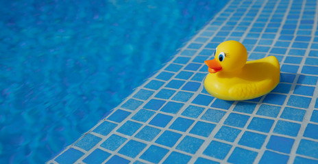 yellow rubber duck in blue swimming pool