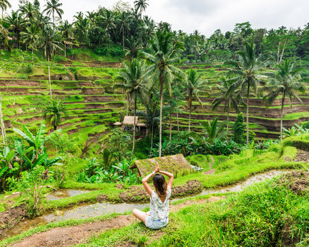The Rice-fields In Ubud on the island of Bali In Indonesia