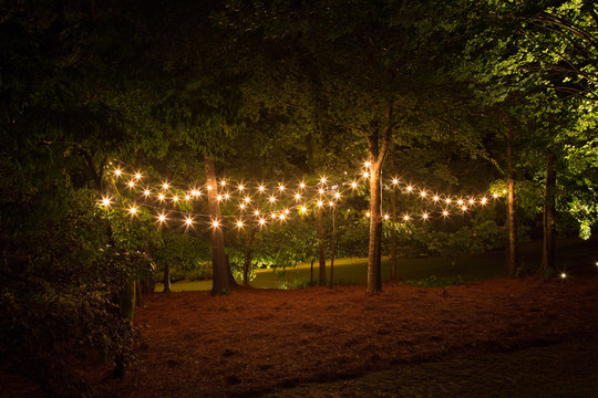 Sparkling lights hanging in the trees