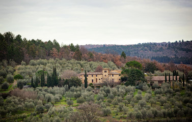Fototapeta na wymiar Tuscan landscape with cypress, trees and ancient buildings.