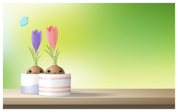 Hello Spring background with Spring flower Crocuses on wooden table top , vector , illustration