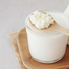 Organic probiotic milk kefir grains, Tibetan mushrooms on wooden spoon and kefir milk in glass containers
