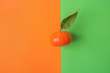 Single Bright Ripe Tangerine on Contrast Background from Combination of Orange Green Colors. Styled...