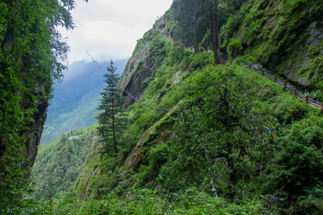 Tiger Nest