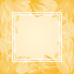 Vector greeting card template with tulip flowers and translucent square frame. Realistic meshes petals. For mother's day, women's day or st.valentine's day design