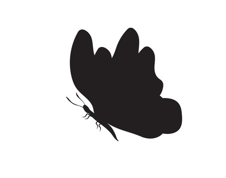 Butterfly winged insect flat icon for apps and websites