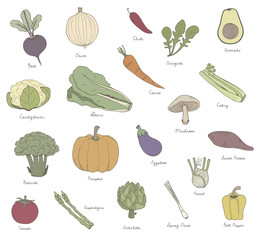 Illustration of different kinds of vegetables