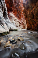 The Narrows Zion National Park