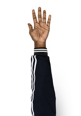 Hand holding variation of object