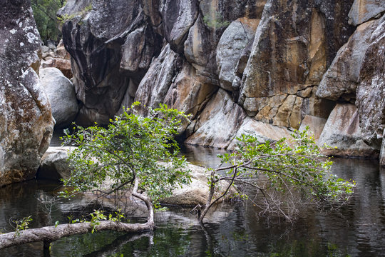 Lake Of Mount Barney National Park