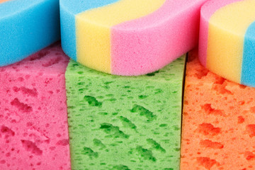 Colorful sponges